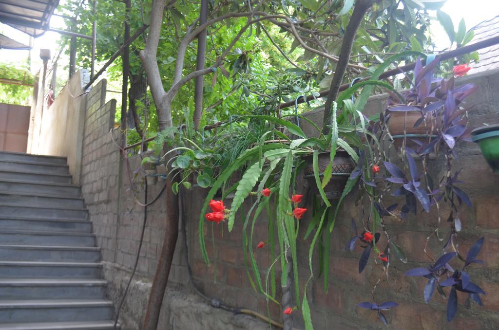 Alex'S Cosy Guesthouse Τυφλίδα Εξωτερικό φωτογραφία